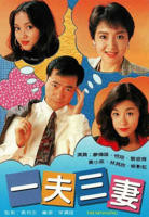 《一夫三妻国语》电视剧免费在线观看完整版